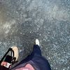 qsyarawr
