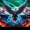 user61483156681611