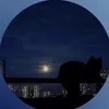 novashinseii