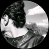dlvandlvan44