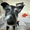 soph.vids11
