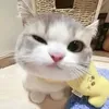 情報屋レイ