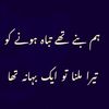 hassan.raza2842