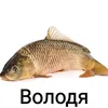 yunfa4ka