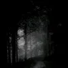 user5019716810216