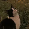 dhritvfeugtfdjr