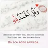 user6037914006873