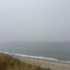fog.watchers