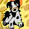 koala_kid12345