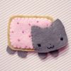cookiesheaven._