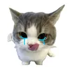 tini123.8