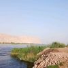 adham.adham556