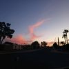 cynbob91