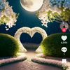 user87150934040221