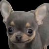 user826099582