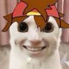 J3llyfish