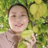 phammungthaoduoc