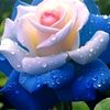 user5343515561006