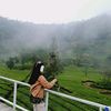 fizz_3113