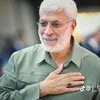 hasankhaled8816