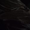 sacirik_99