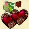 fawad.nizami1