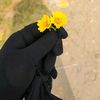 omran.mosalam