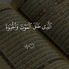 oumvadli.mohamedo