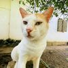 mr_tikiri_sri_lanka