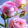 nabi.bux8862
