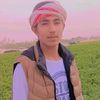 user8115486100529