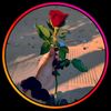 esther_120709