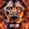lion31239