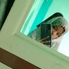 nur.aqilah62