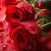 user7600672761117