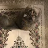 adra_124