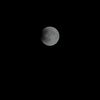 wen_368568