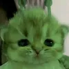 defnot_cldskie