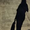nurma93452