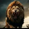 kareemzedain