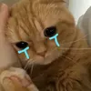xàm xí