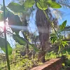 pablitomonteito