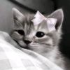 mantasha_stole_ur_chai