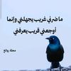 user996168061359