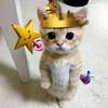 khaledsaled03