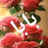 user513606562775