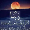 user91095954299203