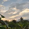vanss_19_