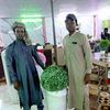 habib.oumar76