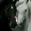 gumnaam.084